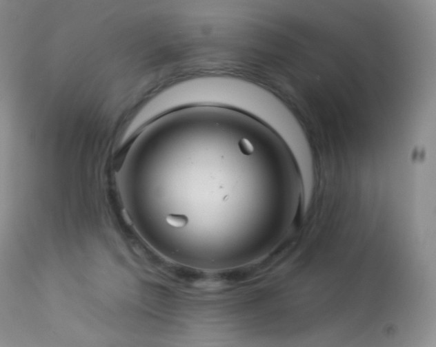 X0000114210213200910091331
