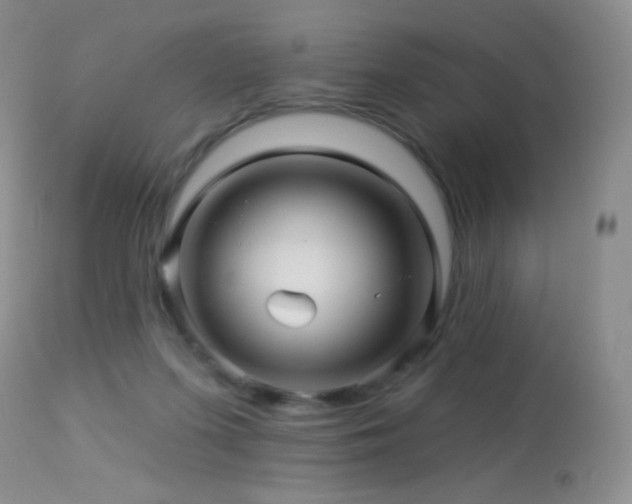X0000114210215200910091331