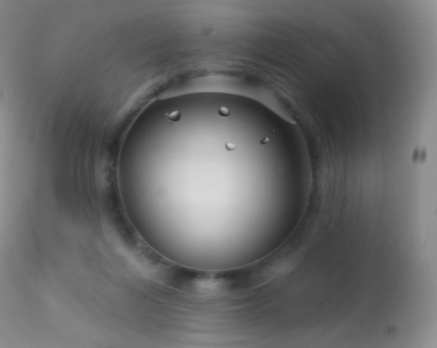 X0000114210216200910091331