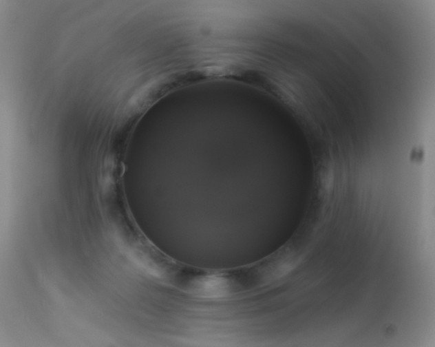 X0000114210219200910091331