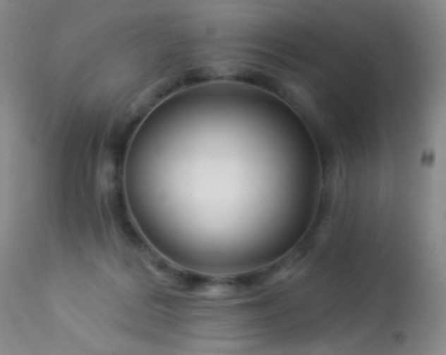 X0000114210220200910091331