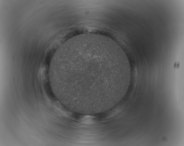 X0000114210222200910091331