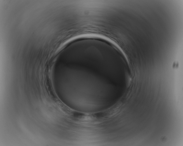 X0000114210223200910091331