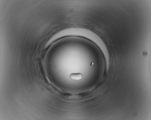 X0000114210225200910091331