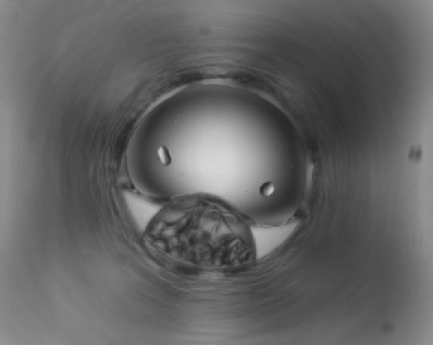 X0000114210227200910091331