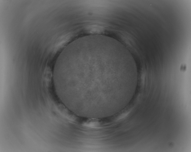 X0000114210228200910091331