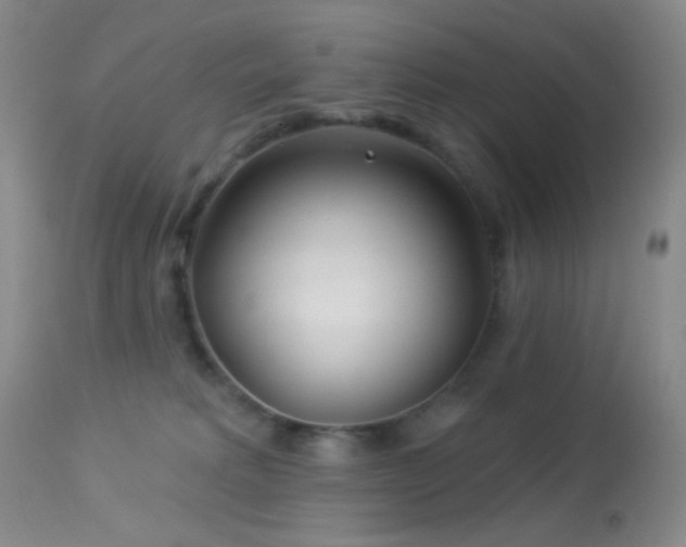 X0000114210229200910091331