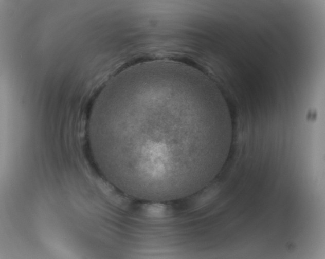 X0000114210230200910091331