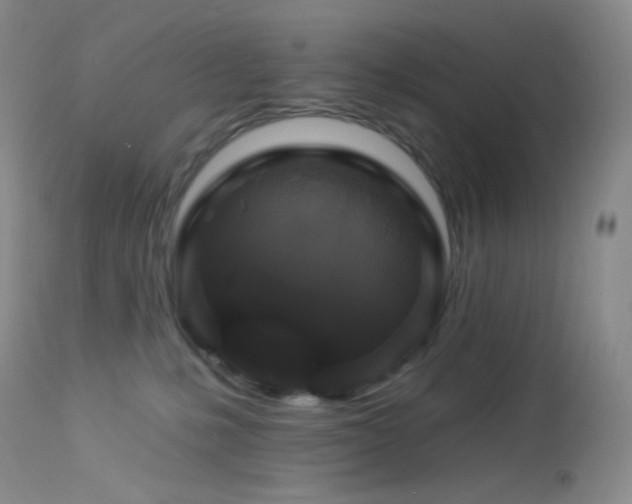 X0000114210231200910091331