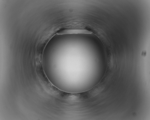 X0000114210236200910091331