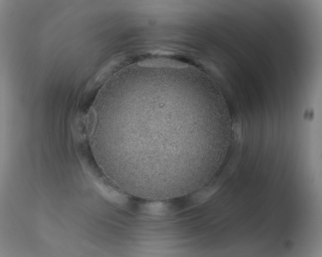 X0000114210237200910091331