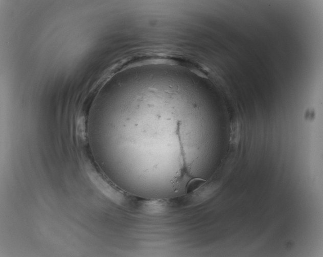 X0000114210238200910091331
