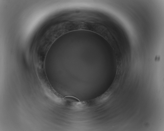 X0000114210239200910091331