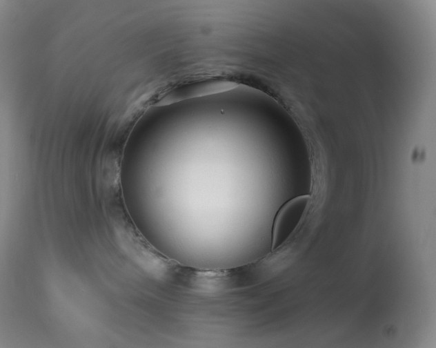 X0000114210240200910091331