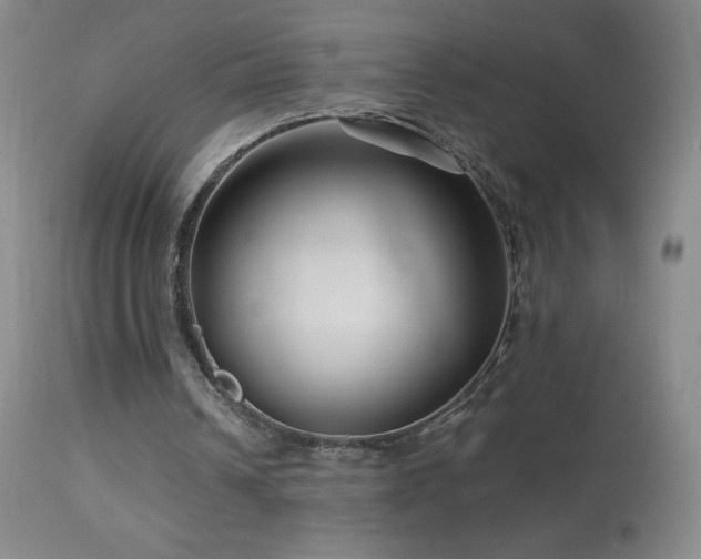 X0000114210242200910091330