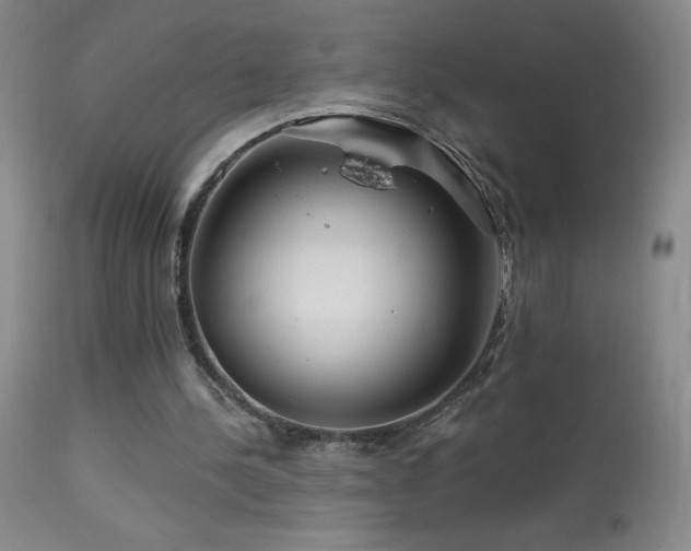 X0000114210244200910091330