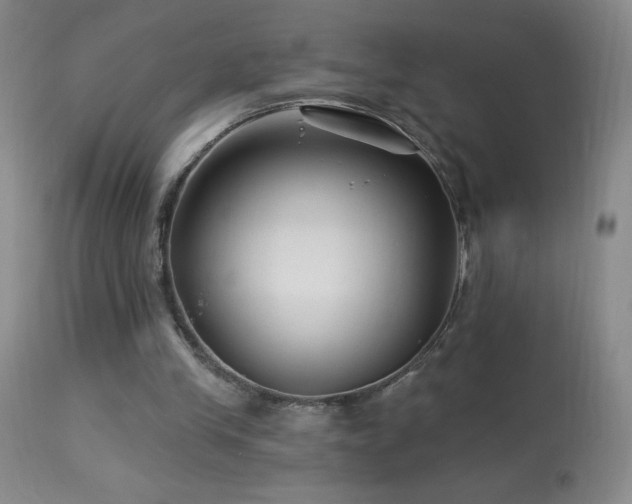 X0000114210245200910091330