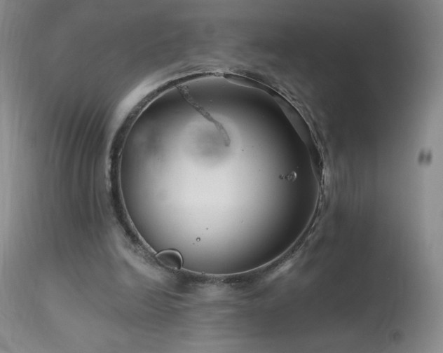 X0000114210246200910091330