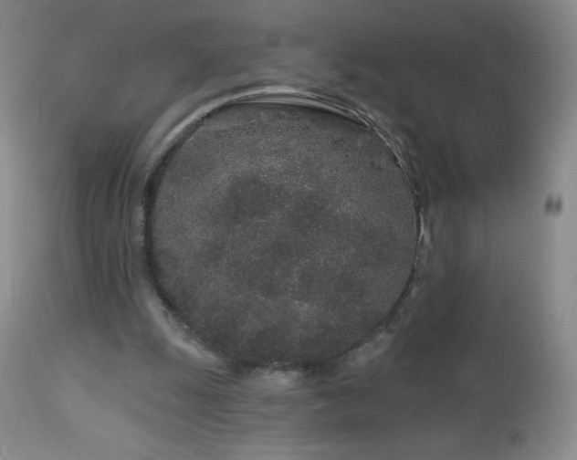 X0000114210247200910091330