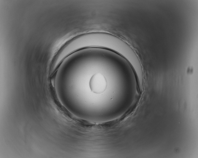 X0000114210248200910091330