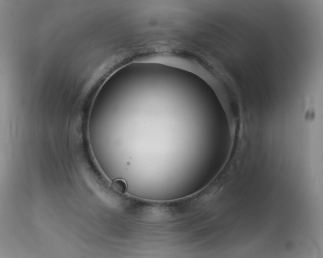 X0000114210250200910091330
