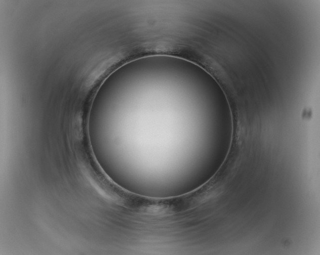 X0000114210251200910091330
