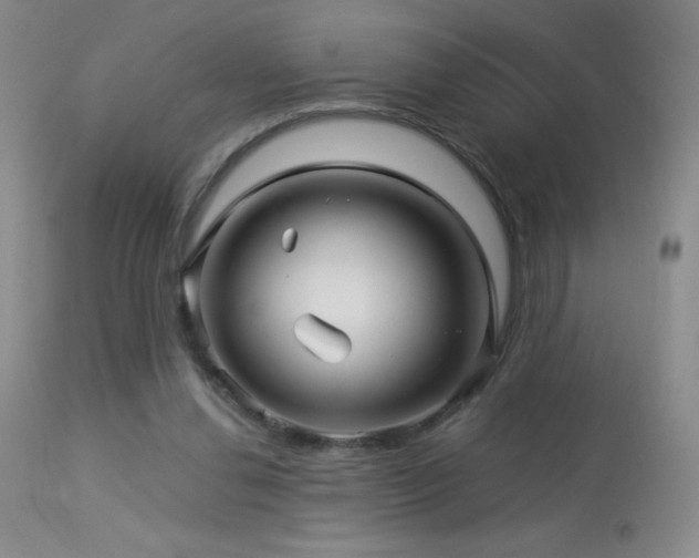 X0000114210252200910091330
