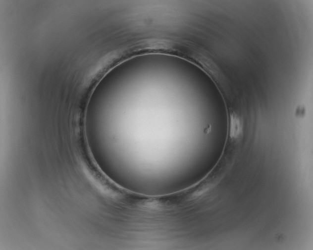 X0000114210253200910091330