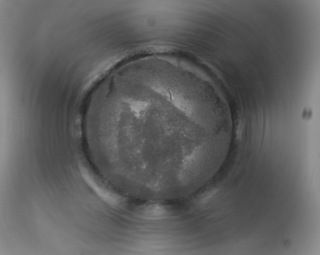 X0000114210254200910091330