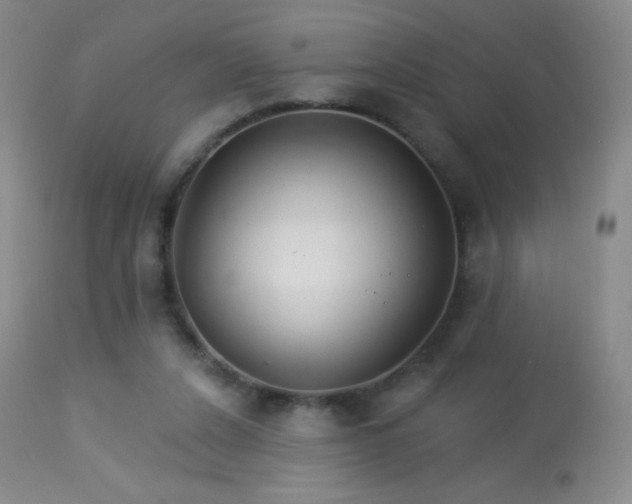 X0000114210256200910091330