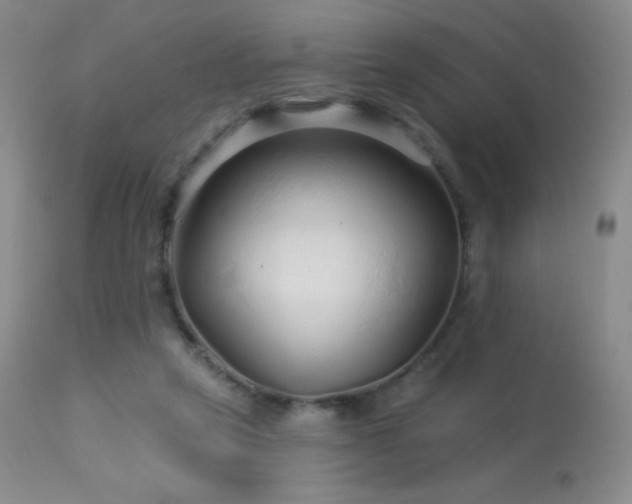 X0000114210257200910091330