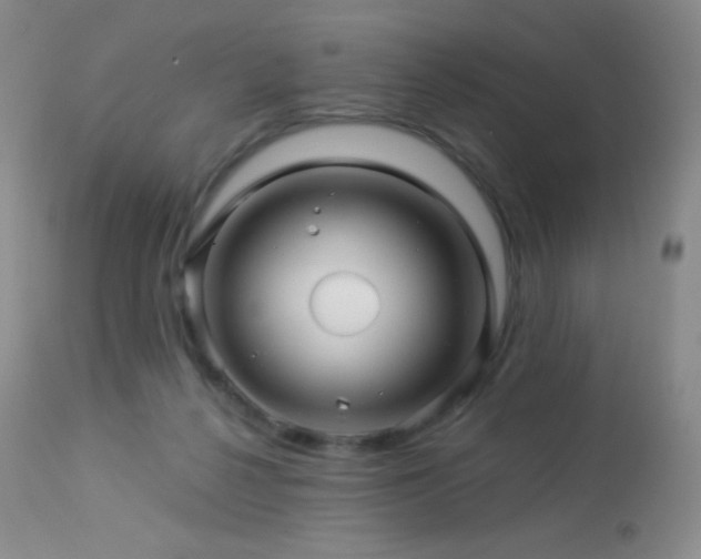 X0000114210264200910091330