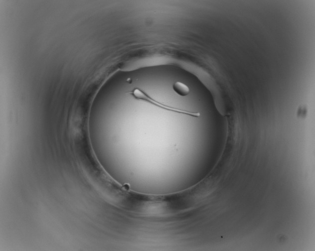 X0000114210266200910091330