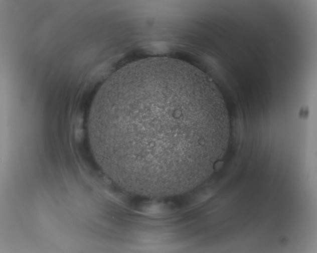 X0000114210267200910091331