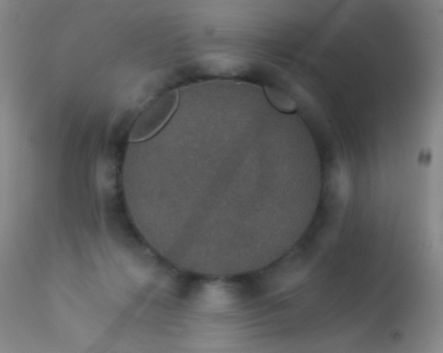 X0000114210268200910091331