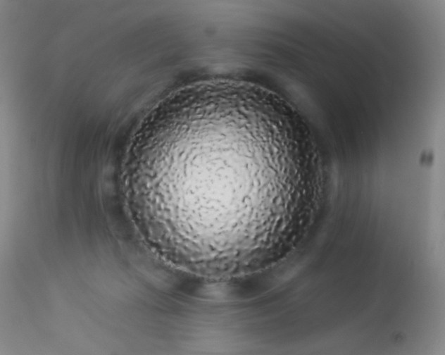 X0000114210269200910091331