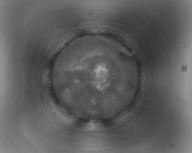 X0000114210270200910091331