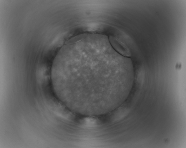 X0000114210272200910091331