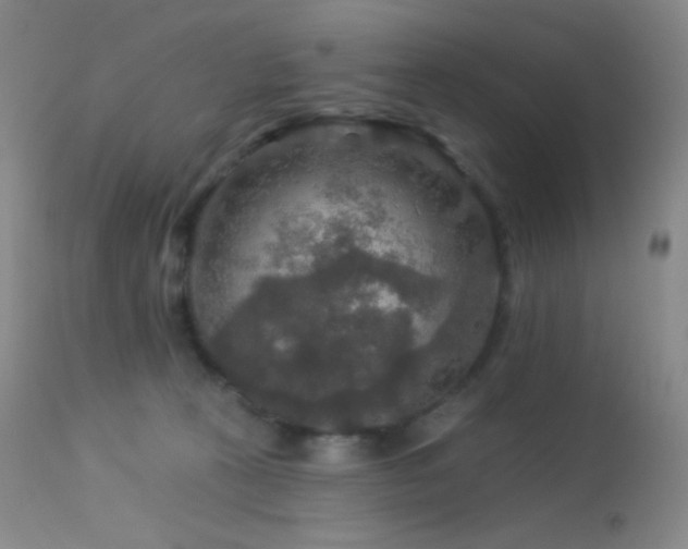 X0000114210273200910091331