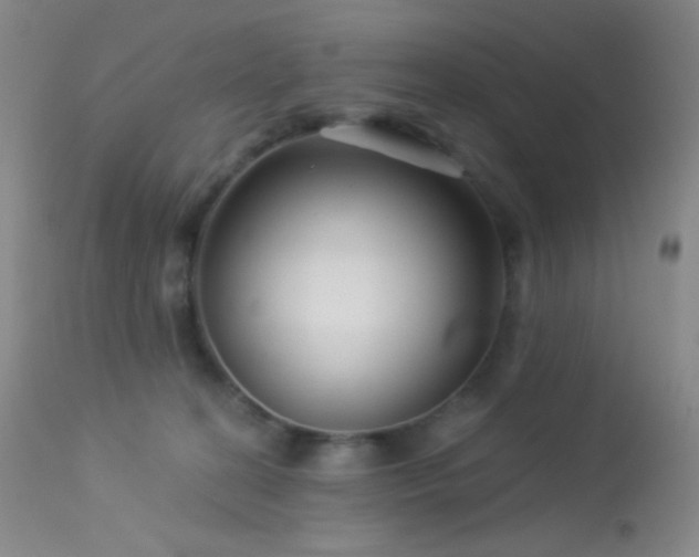 X0000114210274200910091331