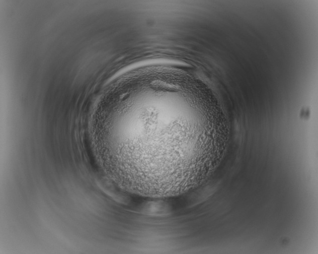 X0000114210275200910091331