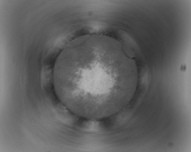 X0000114210276200910091331