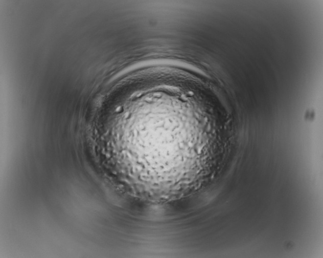 X0000114210277200910091331