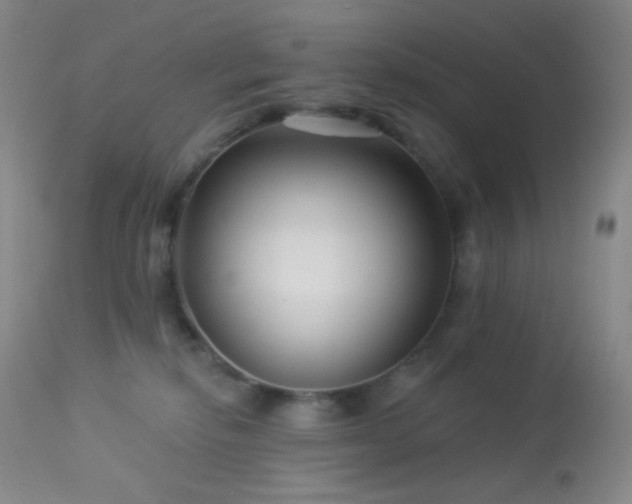 X0000114210278200910091331