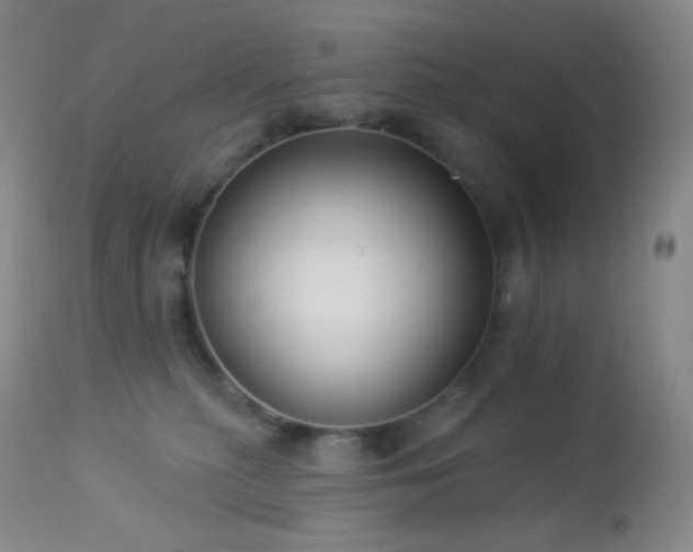 X0000114210279200910091331