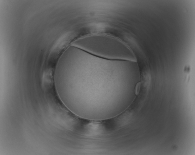 X0000114210280200910091331