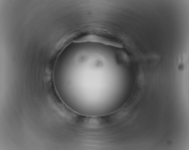 X0000114210282200910091331