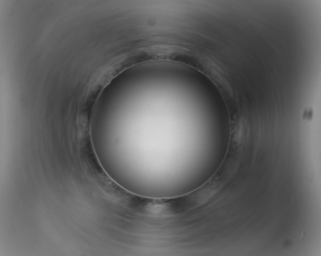 X0000114210283200910091331