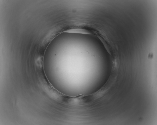 X0000114210286200910091331