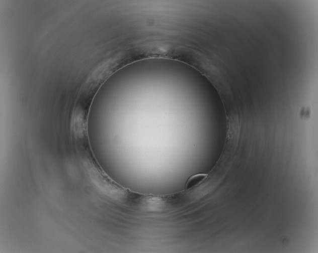 X0000114210287200910091331